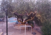 Finca rústica en venta en l'Ampolla ref: TR405058 foto