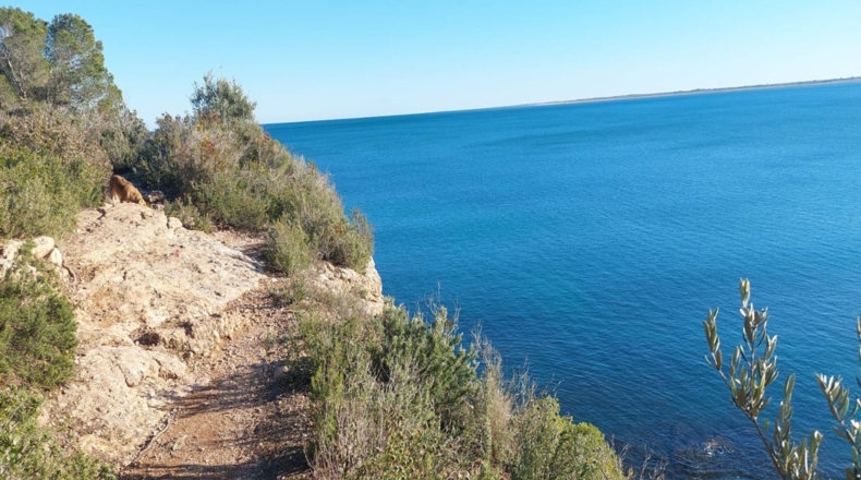 Tarragona - l'Ampolla - 2457m2