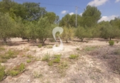 Terreno no urbanizable en venta en Ontinyent ref: TR109030 foto