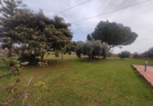 Xalet independent amb terreny en venda a Vila-real ref.: TR176600 foto