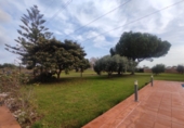 Xalet independent amb terreny en venda a Vila-real ref.: TR176600 foto
