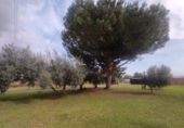 Xalet independent amb terreny en venda a Vila-real ref.: TR176600 foto