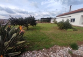 Xalet independent amb terreny en venda a Vila-real ref.: TR176600 foto