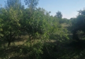 Finca rústica en venta en Castellón de la Plana ref: TR278165 foto
