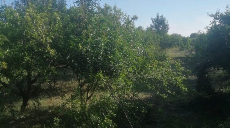 Castellón - Castellón de la Plana - 3049m2