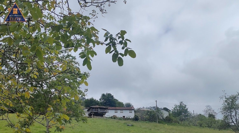 Asturias - Venta las Ranas - 2527m2