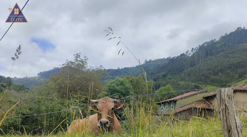 Asturias - Venta las Ranas - 2527m2
