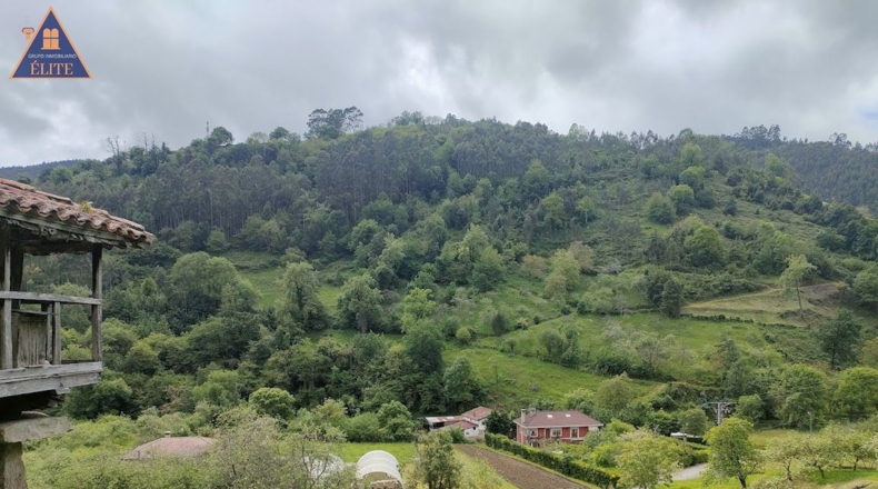 Asturias - Venta las Ranas - 2527m2