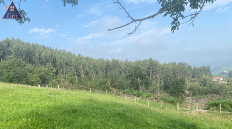 Asturias - Cimadevilla - 5300m2