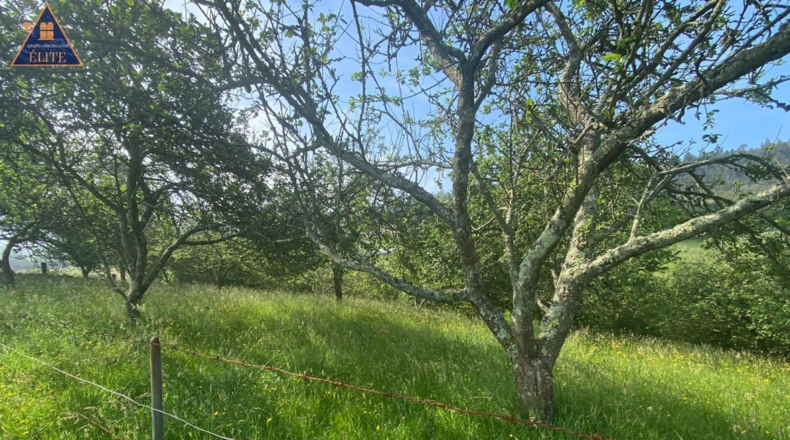 Asturias - Cimadevilla - 5300m2