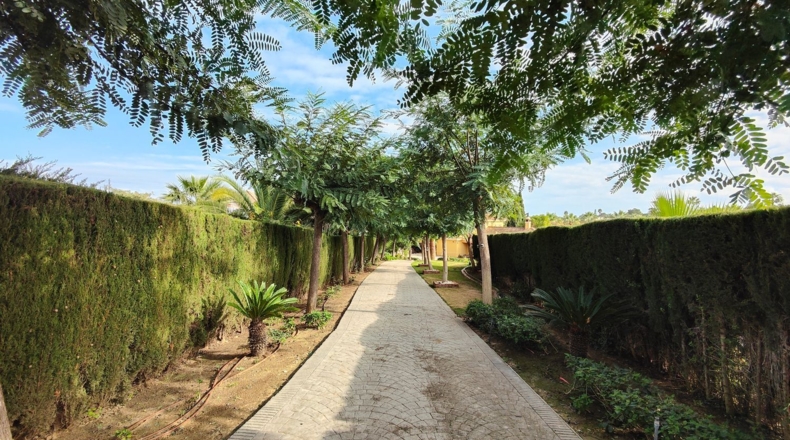 Cádiz - San Roque - 1400m2