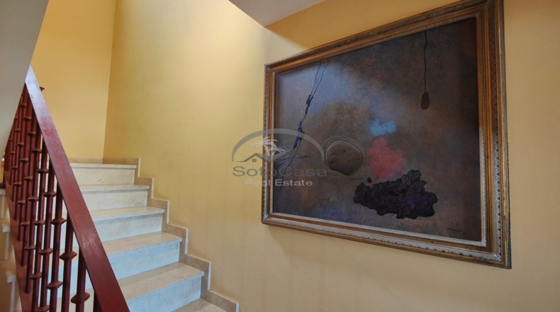 Cádiz - San Roque - 1260m2