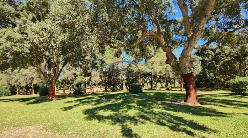 Cádiz - San Roque - 140m2