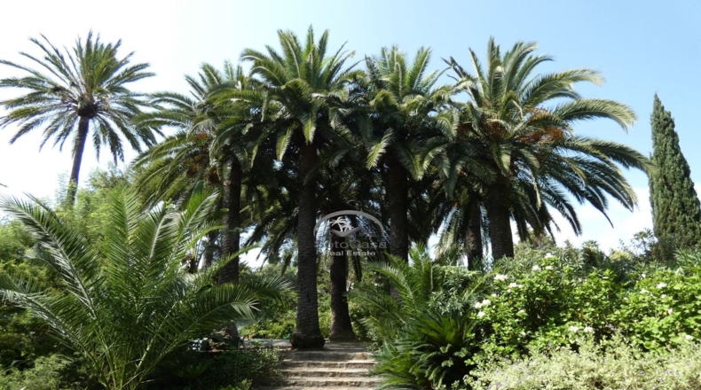 Cádiz - San Roque - 4775m2