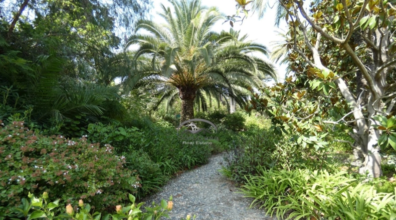 Cádiz - San Roque - 4775m2