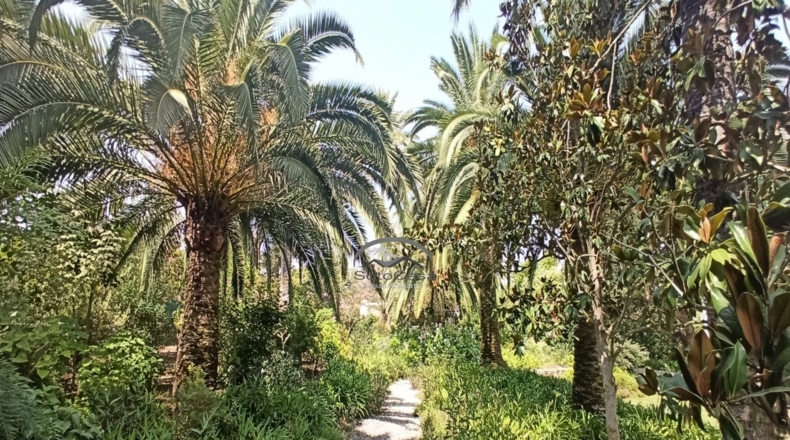 Cádiz - San Roque - 4775m2