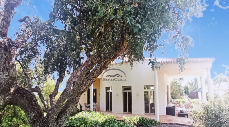 Cádiz - San Roque - 4775m2