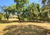 Chalet independiente con terreno en venta en San Roque ref: TR185509 foto