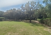 Chalet independiente con terreno en venta en San Roque ref: TR185509 foto