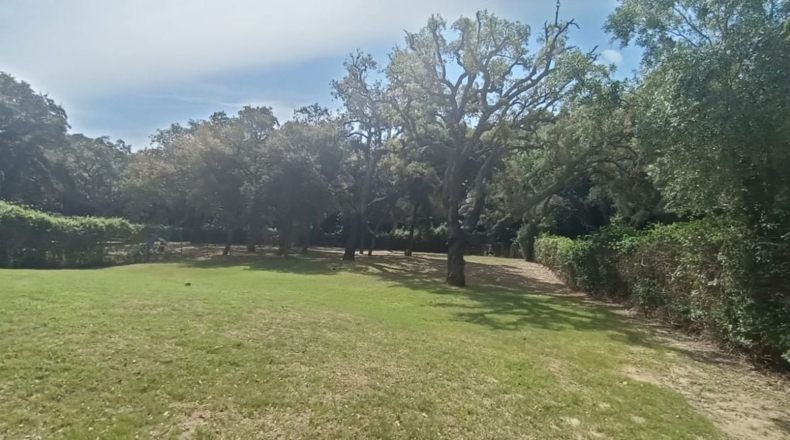 Cádiz - Guadiaro - 2000m2
