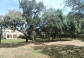 Chalet independiente con terreno en venta en San Roque ref: TR185509 foto