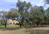 Chalet independiente con terreno en venta en San Roque ref: TR185509 foto