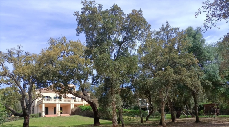 Cádiz - Guadiaro - 2000m2