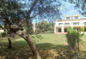 Chalet independiente con terreno en venta en San Roque ref: TR185509 foto