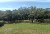 Chalet independiente con terreno en venta en San Roque ref: TR185509 foto