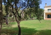 Chalet independiente con terreno en venta en San Roque ref: TR185509 foto