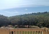 Chalet independiente con terreno en venta en San Roque ref: TR185509 foto