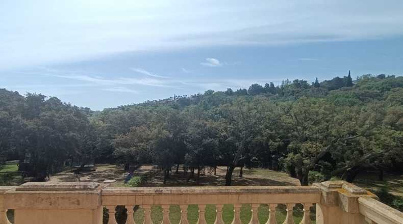 Cádiz - Guadiaro - 2000m2