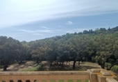 Chalet independiente con terreno en venta en San Roque ref: TR185509 foto
