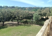 Chalet independiente con terreno en venta en San Roque ref: TR185509 foto