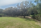 Chalet independiente con terreno en venta en San Roque ref: TR185509 foto