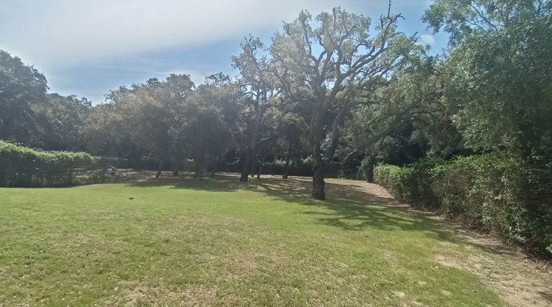 Cádiz - Guadiaro - 2000m2