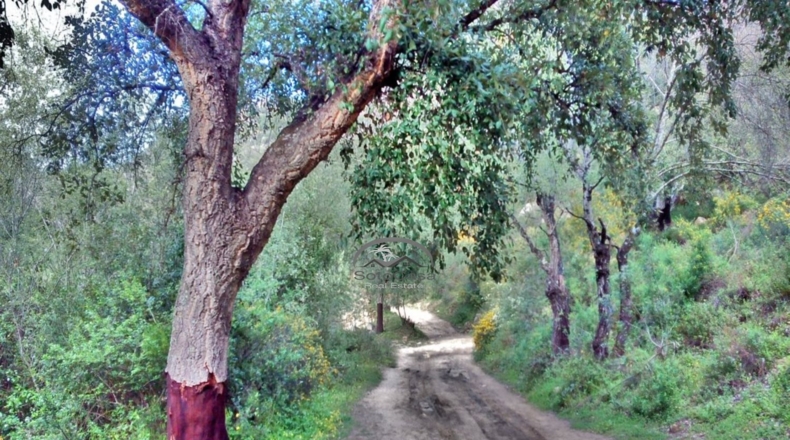 Cádiz - Jimena de la Frontera - 10000m2