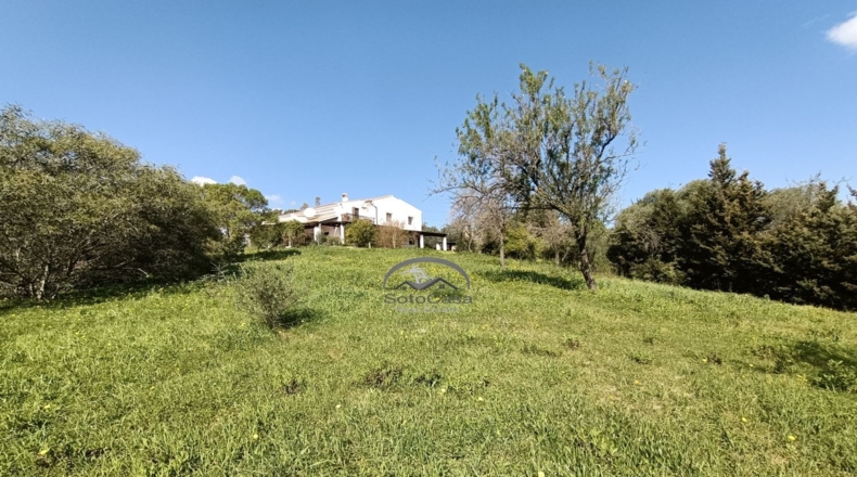 Cádiz - Jimena de la Frontera - 10000m2