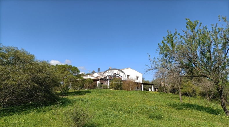Cádiz - Jimena de la Frontera - 10000m2