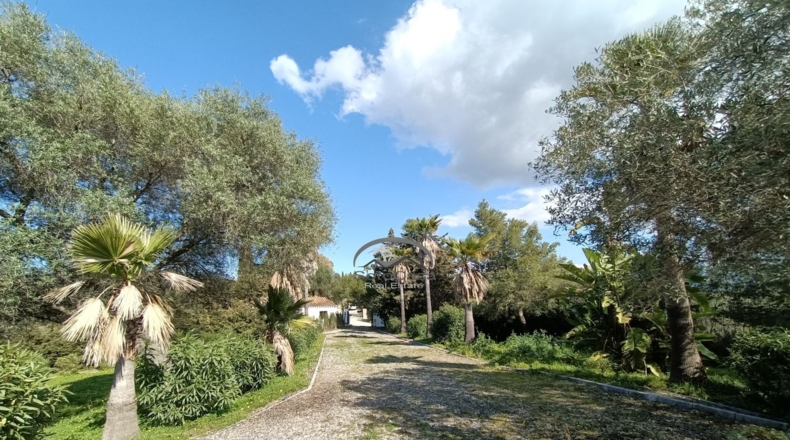 Cádiz - Jimena de la Frontera - 10000m2
