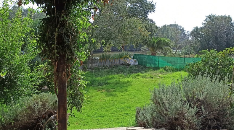 Cádiz - Guadiaro - 1000m2