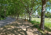 Отдельно стоящий дом с участком на продажу в городе San Roque. Фото