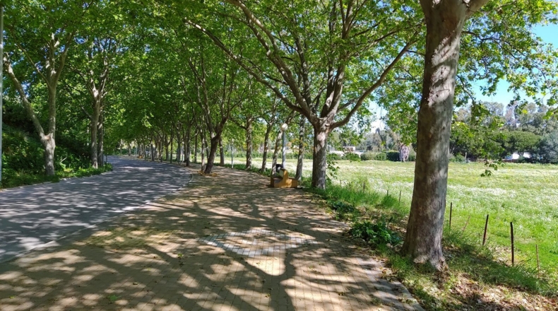 Cádiz - Guadiaro - 1000m2