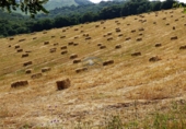 Finca rústica en venda a Jimena de la Frontera ref.: TR186248 foto