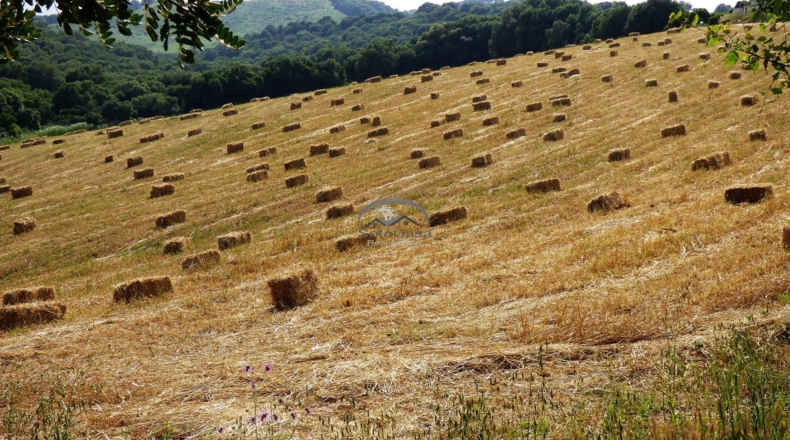 Cádiz - Jimena de la Frontera - 60000m2