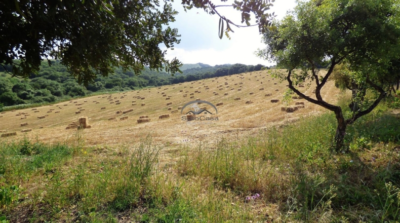 Cádiz - Jimena de la Frontera - 60000m2