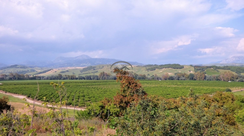 Cádiz - Jimena de la Frontera - 60000m2