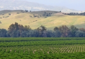 Finca rústica en venda a Jimena de la Frontera ref.: TR186248 foto