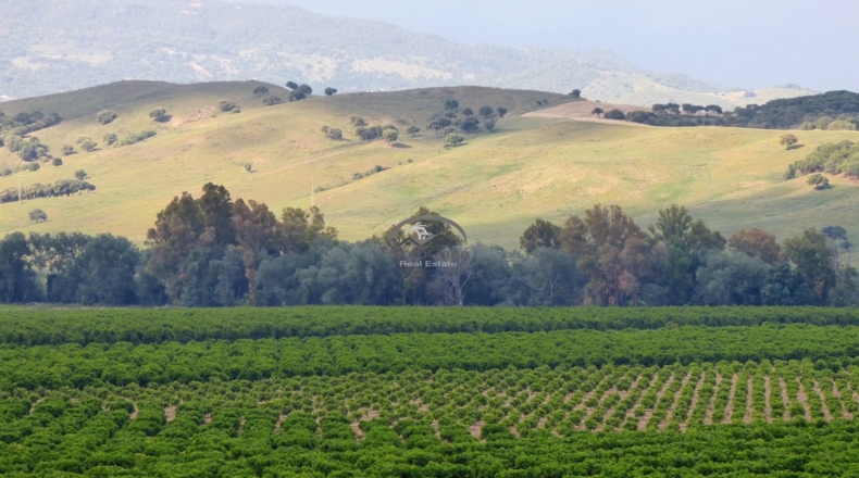 Cádiz - Jimena de la Frontera - 60000m2