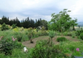 Finca rústica en venda a Jimena de la Frontera ref.: TR186248 foto